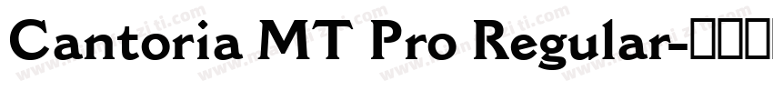 Cantoria MT Pro Regular字体转换